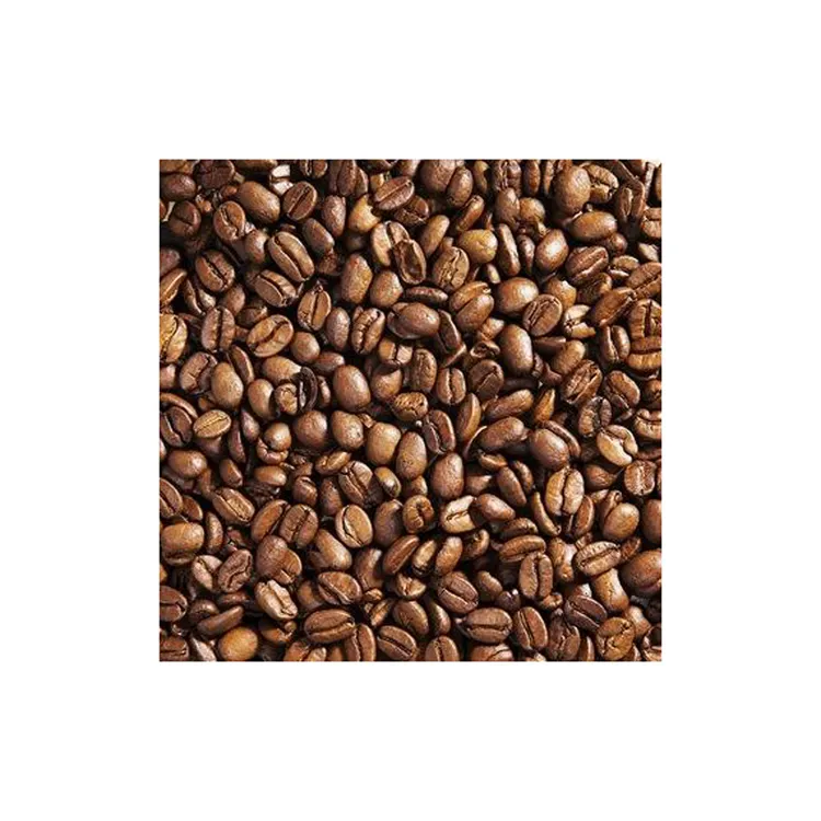 メーカーからのカスタマイズされた包装高品質のロブスタコーヒー豆競争力のある価格良い味防腐剤なし