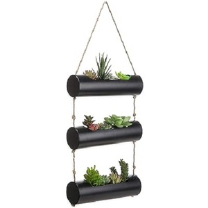 Jardinière cylindrique de style creux pour pot mural de cactus succulent à 3 niveaux en métal noir suspendu 10 pouces - Product Image 1