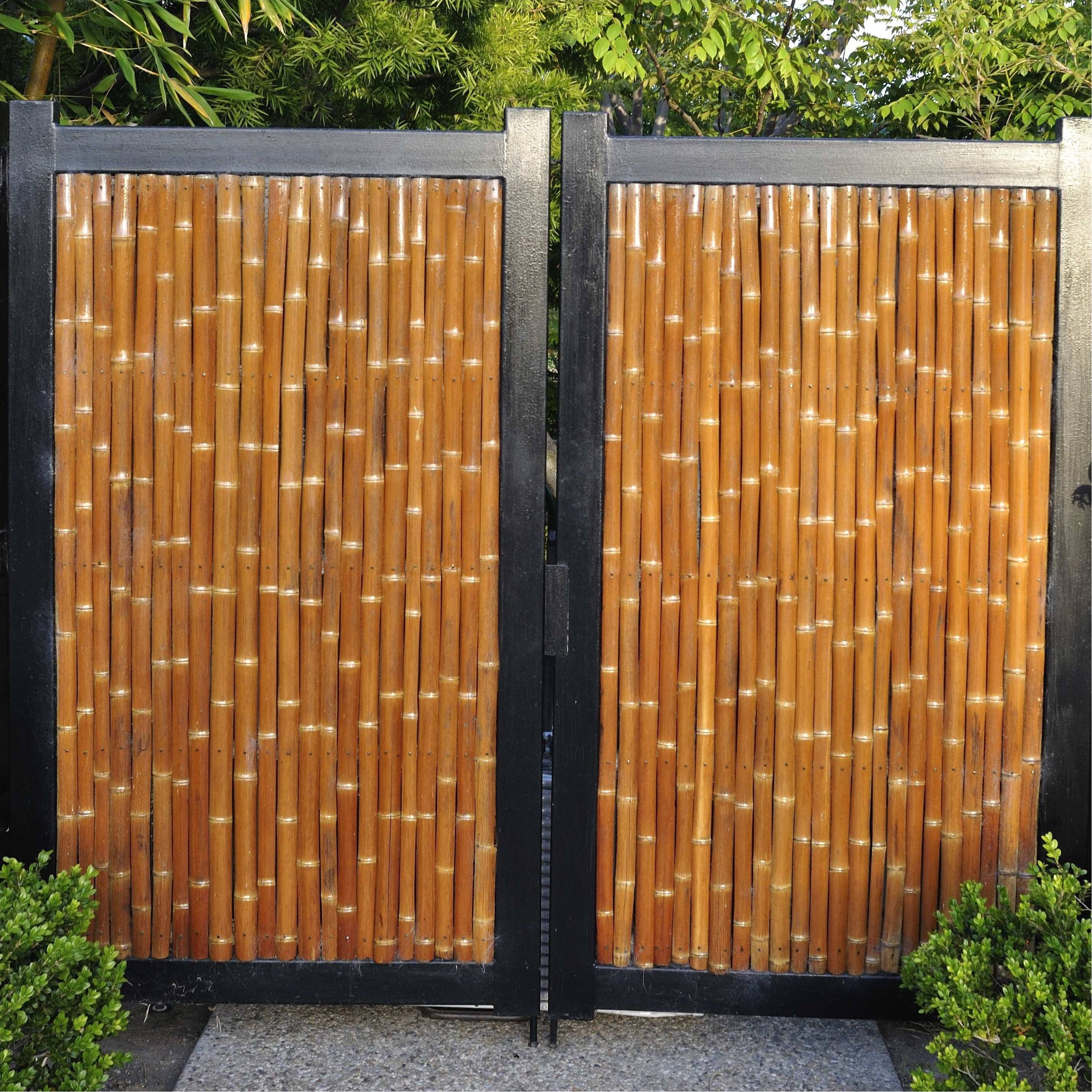 ธรรมชาติ