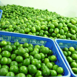 100% NATURAL FROZEN <b>LIME</b> GREEN COLOR WHITE FLESH FRESH TASTE FROM VIETNAM - Product Image 6