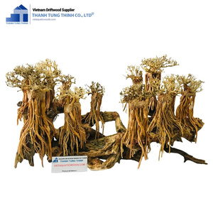 ต้นบอนไซ2025สำหรับตู้ปลาอุปกรณ์เสริมตู้ปลาจากเวียดนาม - Product Image 5