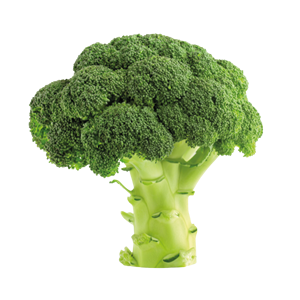 Brócoli Super Fresco de Nueva Cosecha 2026, Exportadores Mundiales, Congelado Verde, Cantidad a Granel, Estilo de Empaque, Exportadores Mundiales de Vegetales - Product Image 4