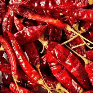 Piment séché naturel Piment rouge séché chaud Meilleur acheteur - Product Image 6