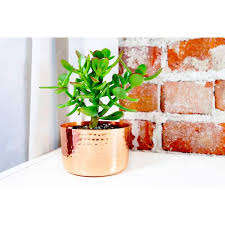 Maceta de flores de forma redonda de cobre con acabado pulido para decoración de jardín doméstico - Product Image 2