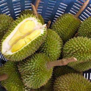 Authentique Durians frais cueillis à la main Variété Monthong entière Grade a 0.5kg King Fruits' Saveur originale - Product Image 5