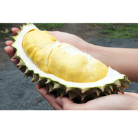 Fruit Witte Bulk Lassen Alle Verse Verse Vers Vers Vers Fruit Rijk Rijk Rijk Rijk 6 Vietnam Kwaliteit Type Een Export Ons Markt