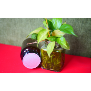 Revestimiento de sellado por inducción térmica de papel de aluminio del fabricante de Vietnam, extrusión de marco de tapa de botella sin fugas, juego de dos piezas - Product Image 5