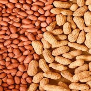 Proteína Vegetal de Maní Crudo Natural a la Venta a Precio de Mayoreo - Product Image 2