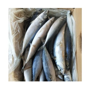 Atún del Pacífico Fresco Congelado de Buen Sabor, Tamaño 300-500g, en Oferta - Product Image 6