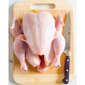 POLLO ENTERO CONGELADO ENTERO HALAL DE ALTA CALIDAD POLLO ENTERO CONGELADO HALAL POLLO ENTERO CONGELADO MEJOR TARIFA - Product Image 1