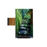 MICROTECH High Quality Creative 3.97 inch 480x800 dots all color IC ILI9806G TFT LCD module display
