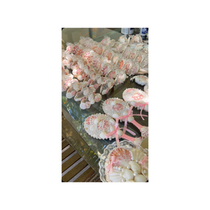 Miroir compact fabriqué à partir de vrais coquillages léger et facile à transporter s'adapte dans votre sac ou votre poche parfait pour les retouches - Product Image 5