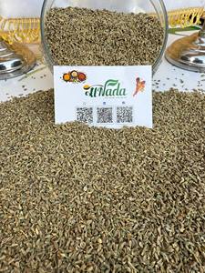 Semillas de Anís Egipcio Premium – Limpiadas y Clasificadas a Máquina – Calidad de Exportación a Granel - Product Image 6