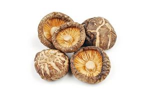 Hongo Shiitake Seco del Delta del Vientam |   Empaquetado a Granel - Product Image 4