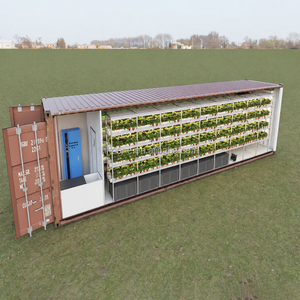 Equipo de Cultivo Hidropónico en Invernadero con Control Climático para Cultivo Comercial Automatizado de Fresas en Contenedores, de Alto Rendimiento - Product Image 2