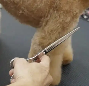 Ciseaux professionnels de toilettage pour chiens de compagnie en acier inoxydable Kit de ciseaux droits amincissants incurvés - Product Image 1