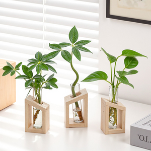 Crystal Glass Square Test Tube Vase Wooden Stand Modern Hydroponic Planter <strong>Propagation</strong> Station Indoor Plants Home Garden - Product Image 2