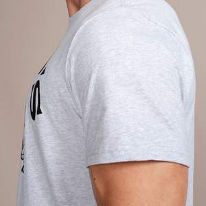 Muscle Joe Sports T-Shirt Gris Coton Organique Gym Shirt Respirant Activewear Bodybuilding Fitness Tee Regular Fit Golds Gym - Product Image 5