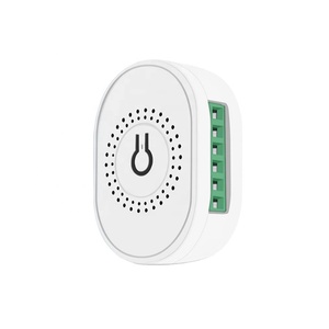 Tuya สวิตช์16A 2CH Wi-Fi อัจฉริยะอัจฉริยะพร้อมการควบคุมด้วยเสียงรองรับฟังก์ชั่นกำหนดเวลา PST-TMW02 - Product Image 1