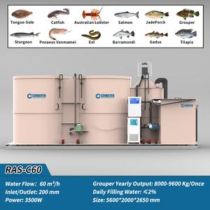 קווטר 60 m3/h קומפקטי ras מערכת עבור דגים מקורה מסנן ביו-מסנן uv tilapia שרימפס סלמון - Product Image 2