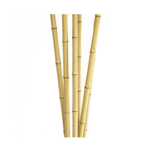 Postes de bambú natural duraderos para estructuras decorativas y diseño de eventos Postes de bambú Premium para proyectos versátiles - Product Image 2