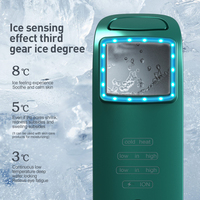 Appareil de beauté facial portable chaud et froid avec ions négatifs pour raffermir la peau, prise AU/US