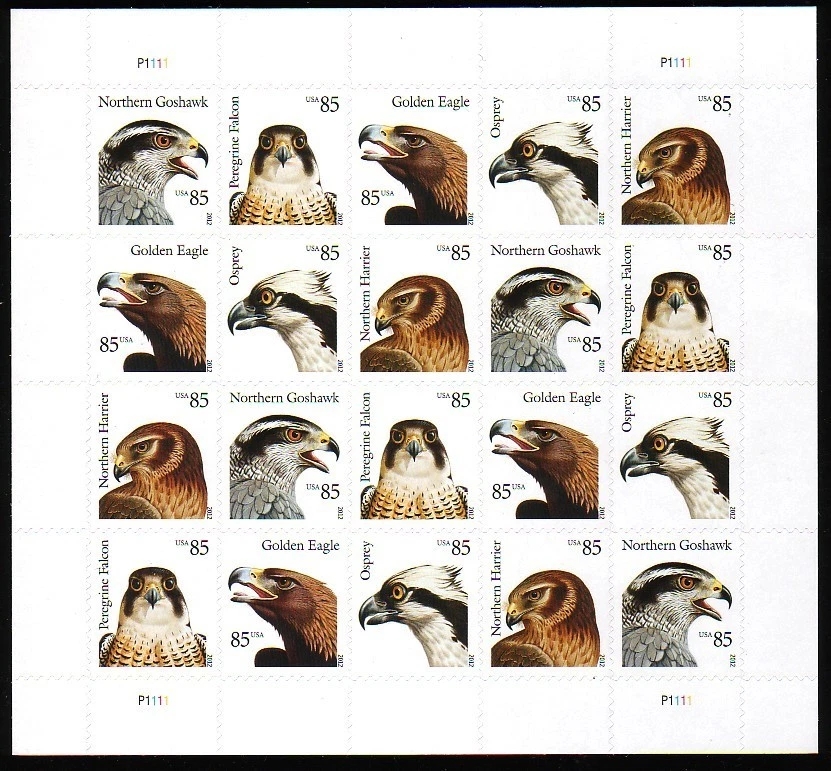 2012 Aves de presa 500374-T0-180-12MQ85C