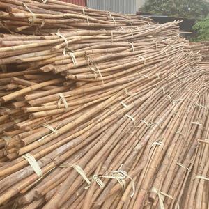 ธรรมชาติกำเนิดเสาหวายดิบสำหรับการส่งออกที่มีราคาที่ดี Akina - Product Image 1