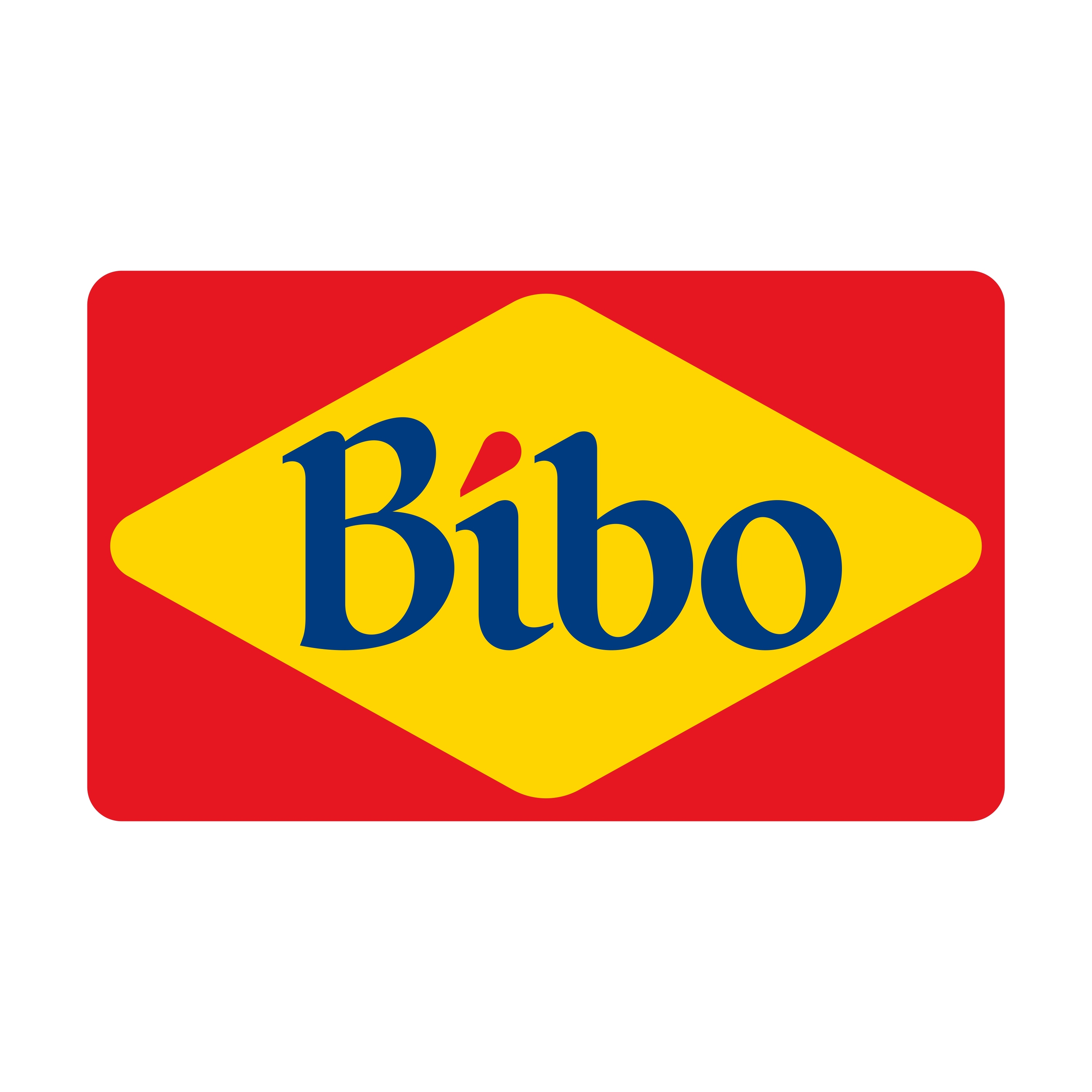 BIBO ITALIA SPA logo