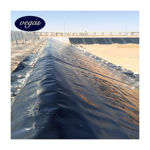 Géomembrane HDPE pour Digesteur de Biogaz, Couverture de Bassin de Digestion Anaérobie, 1.0mm 1.5mm 2.0mm, Résistante aux UV et aux Produits Chimiques - Product Image 3