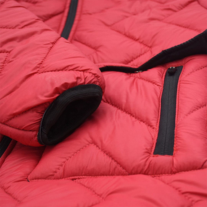 Custom Men's Winter Waterproof Windbreaker Puffer <b>Jacket</b> Stand Collar Hooded 100% Nylon <b>Canvas</b> Custom Logo High Street Style - Product Image 4