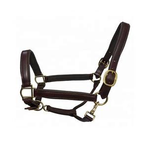 Haute qualité indien cuir de vachette cheval licou Dressage équipement équestre prix de gros haute qualité équitation licou - Product Image 1