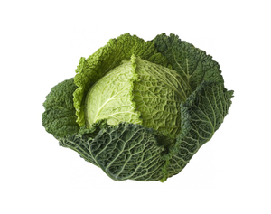 Chou prêt au détail pour acheteurs en vrac Légumes frais de Thaïlande pour importateur et pour acheteur - Product Image 5