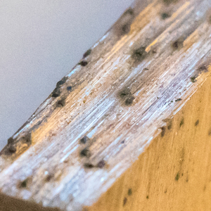 Segmentos de Diamante ARIX/Arrayyed de China Wanlong <span class=keywords><strong>para</strong></span> Granito, Mármol, Arenisca, Basalto y Andesita, Larga Duración. - Product Image 6
