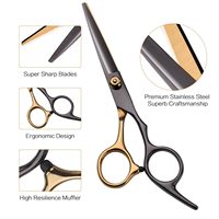 Tijeras de Peluquería Profesionales de Acero Inoxidable de Alta Calidad, Estuche de Cuero, Capa de Peluquería, Accesorio de Salón