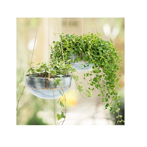 Nouveau Design attrayant, jardinière galvanisée suspendue et Pot de fleurs pour la maison, l'hôtel, la chambre à coucher et le salon - Product Image 1