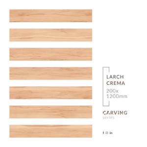 200x1200mm Porcelain Long <b>Plank</b> Tiles | <b>Wood</b> Look Matt Surface Natural Texture Premium Export Quality - Product Image 6