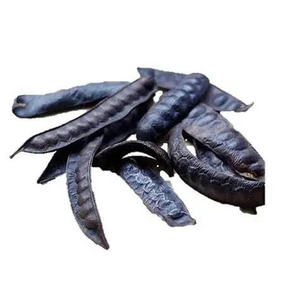 OFFRE CHAUDE FRUIT EN VRAC BLACK LOCUST PREMIUM FOURNISSEUR DE QUALITÉ BIOLOGIQUE PRÊT À L'EXPORTATION TOP VENTES EN GROS - Product Image 1