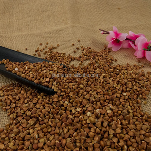 Graines de sarrasin biologiques en vrac de haute qualité, naturelles, brutes, grains bruns, aliments sains pour la consommation 25/50kg - Product Image 4