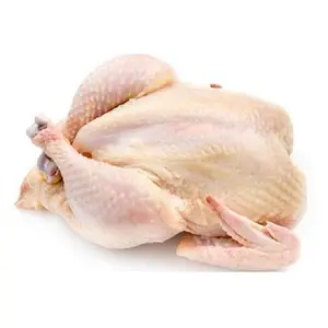 Gefrorenes ganzes Halal-Huhn und Hühner teile