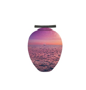 Urna de cremación de aluminio antiguo para adultos, suministros funerarios para cenizas humanas, tema de Piano impreso con colección exclusiva - Product Image 2
