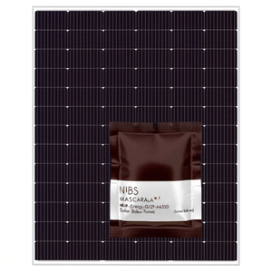 Panneau solaire NBS Energy NB132M-G12P-A650 - Product Image 2