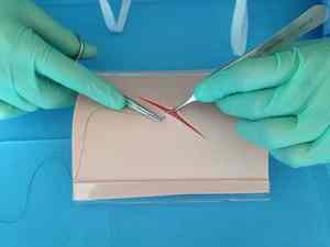 ชุดฝึกเย็บแผลผ่าตัดแบบใช้มือทำจากสเตนเลสสตีลเครื่องมือทางการแพทย์เครื่องมือจำลองการผ่าตัดเล็กน้อย - Product Image 3