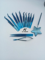 Ensemble de pinces à extensions de cils avec ciseaux à ressort, poignées miroir étoilées, couleur plasma bleue, pince à volume pour cils, logo personnalisé