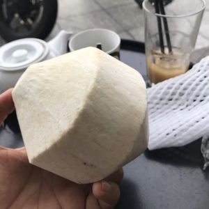 Vente en gros de noix de coco biologique et d'eau de coco du Vietnam Boissons d'été juteuses et fraîches de qualité prêtes à l'exportation au meilleur prix - Product Image 1