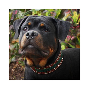 Collar de Cuero Occidental Grueso de 2 Pulgadas de Ancho para Perros Grandes Mariner, Collar de Perro Elegante con Tachuelas de Cristal y Trenzado Acolchado Suave - Product Image 5