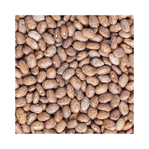 Frijoles rojos Fábrica oscura Frijoles de riñón de forma larga de alta calidad Directamente al por mayor - Product Image 6