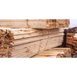 Madera blanda a granel asequible para construcción, palés y uso industrial - Product Image 5