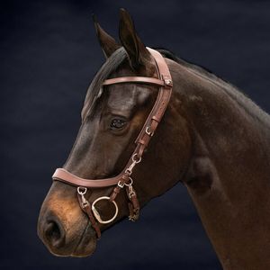 Bride anatomique CHEVAL BRIDLE DELUXE ANATOMIQUE EN CUIR ÉLEVÉ CHEVAL BRIDLE DELUXE ANATOMIQUE CUIR ÉLEVÉ - Product Image 1