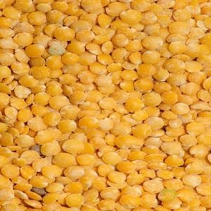 Lentilles jaunes brillantes biologiques non-OGM, séchées, de qualité supérieure, nettoyées, sans peau, en vrac, 25 kg, durée de conservation de 24 mois, sacs PP, à vendre - Product Image 1